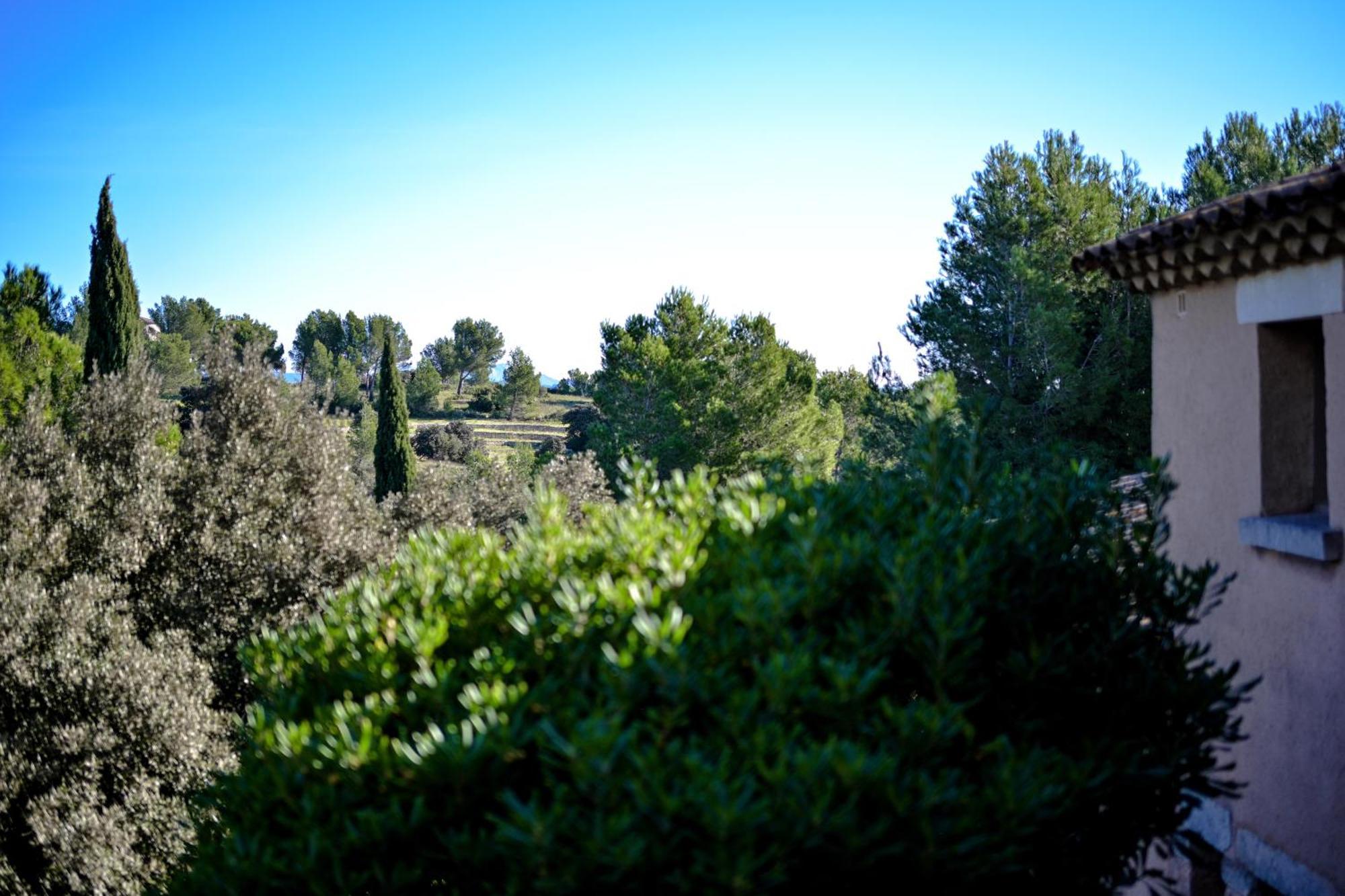Les Garrigues De La Vallee Des Baux Paradou Buitenkant foto
