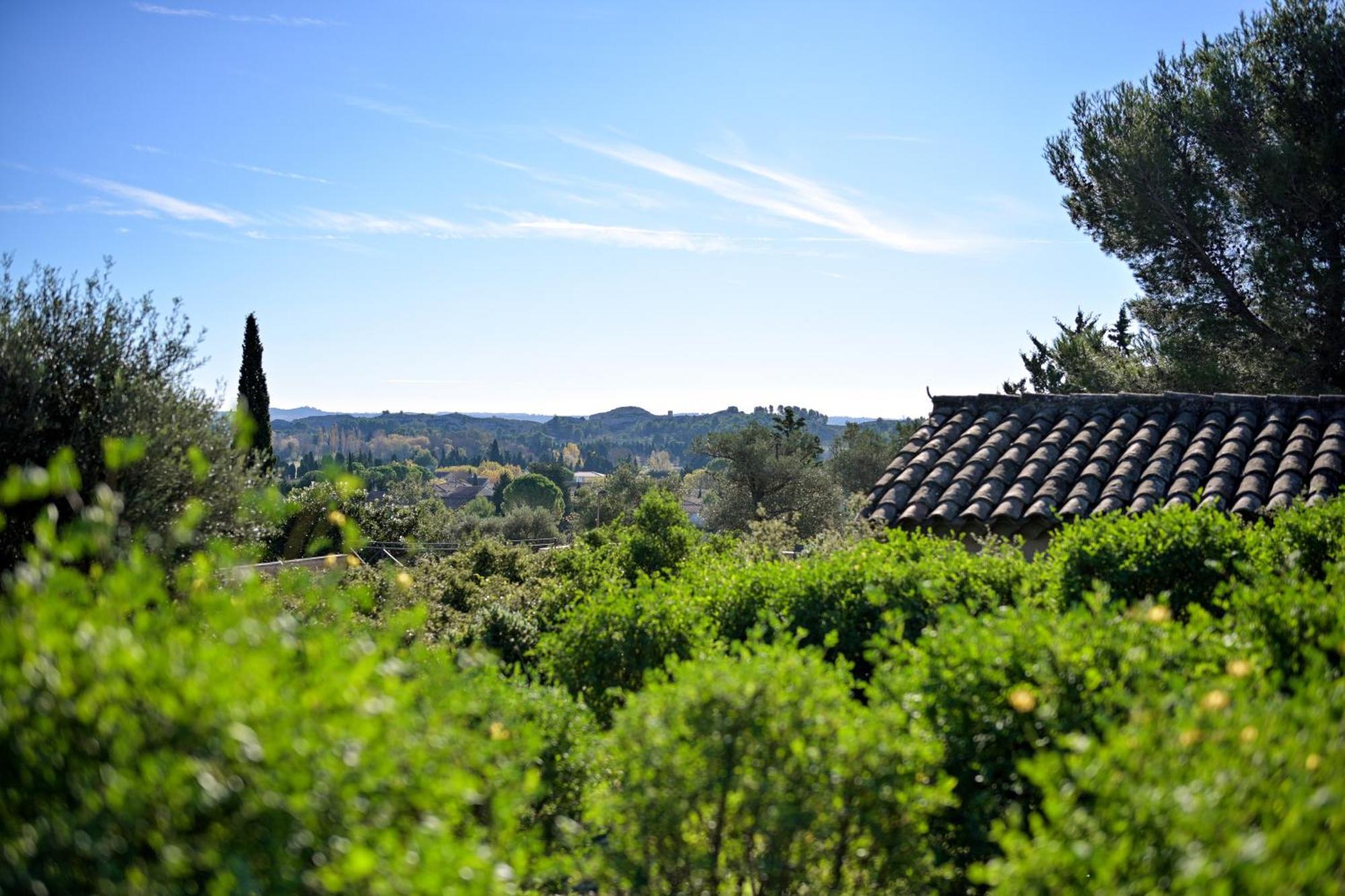 Les Garrigues De La Vallee Des Baux Paradou Buitenkant foto