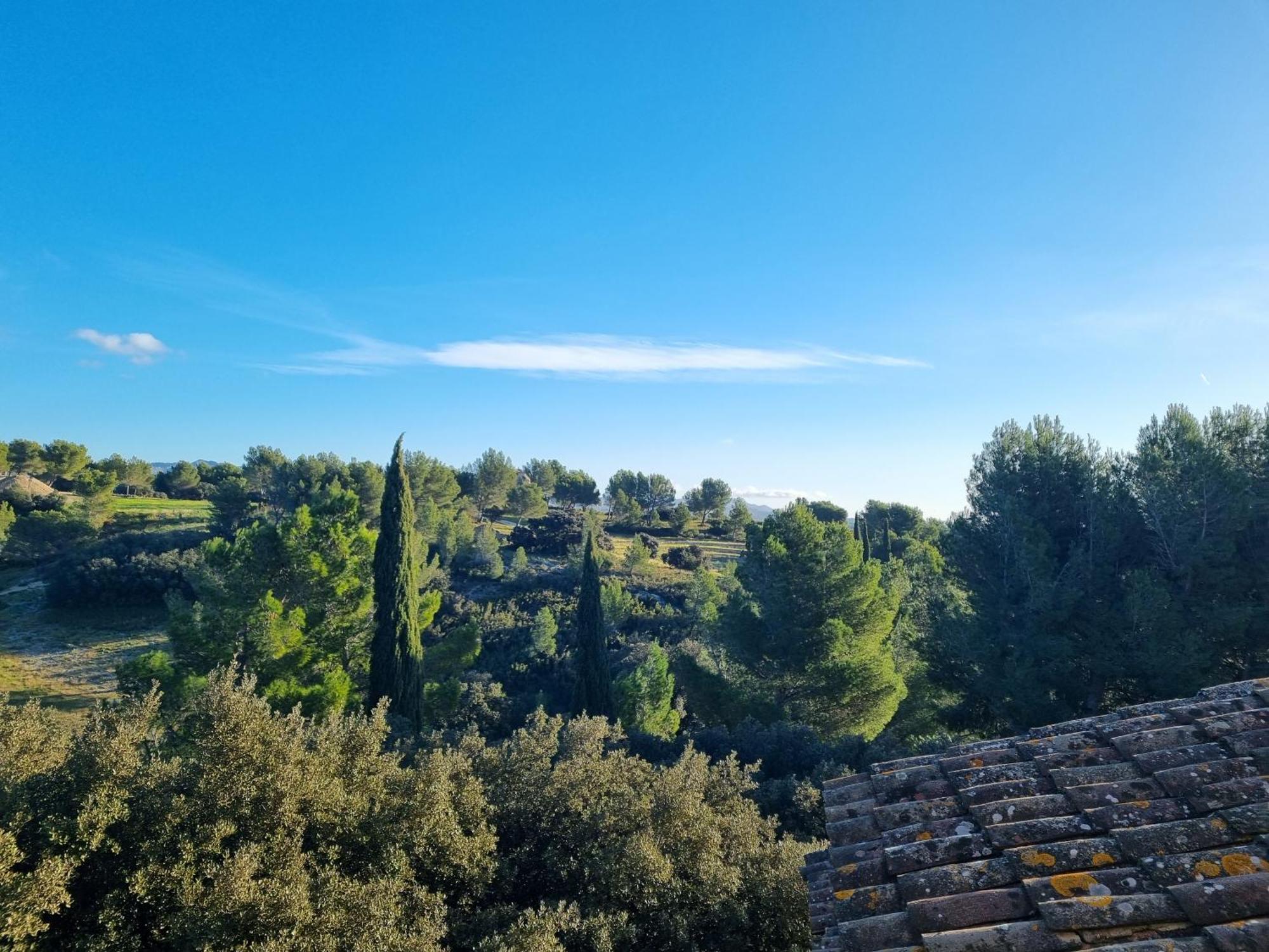 Les Garrigues De La Vallee Des Baux Paradou Buitenkant foto